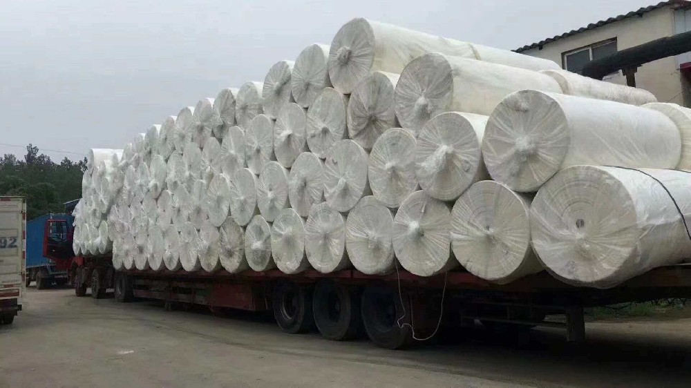 Premium Custom Toilet Paper – Soft, Strong & Brand-Ready